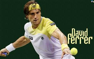 David Ferrer